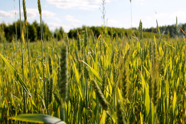 Similar image 21816150