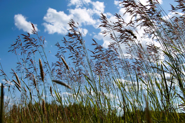 Similar image 21816151