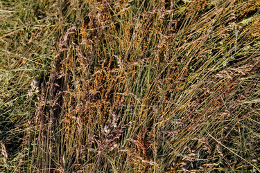 Similar image 21816152