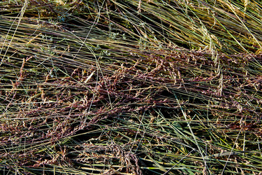 Similar image 21816153