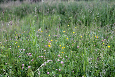 Similar image 21816154