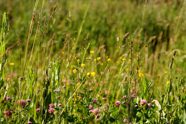 Similar image 21816155