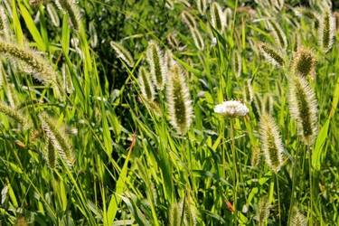 Similar image 21816157