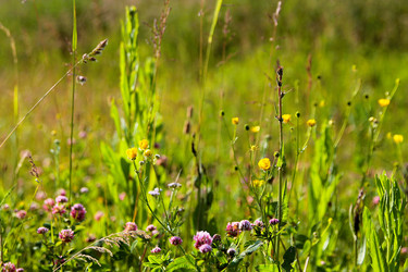 Similar image 21816158