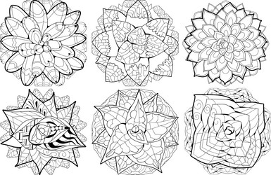 Similar image 21825651