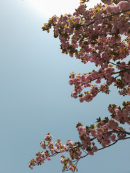 Similar image 21819758