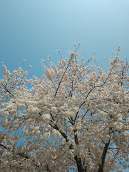 Similar image 21819760