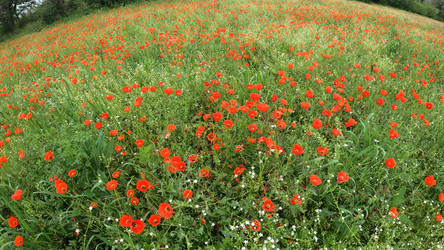 Similar image 21819762