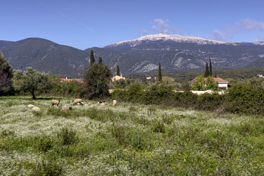 Similar image 21817857