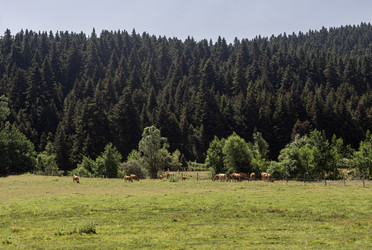 Similar image 21824040