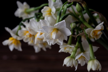 Similar image 21817861