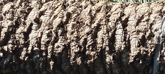 Similar image 21814483