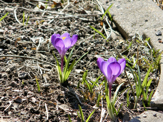 Similar image 21814486