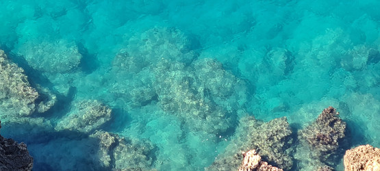 Similar image 21814490