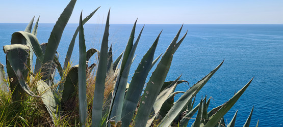 Similar image 21814493