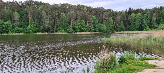 Similar image 21814502