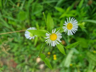 Similar image 21814513