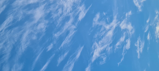 Similar image 21822454