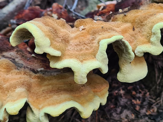 Similar image 21814518