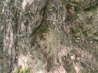 Similar image 21814519