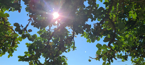 Similar image 21814520