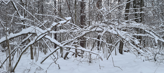 Similar image 21814522