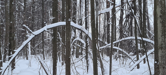 Similar image 21814523