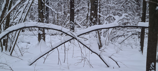 Similar image 21814524