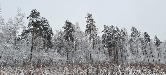 Similar image 21814525