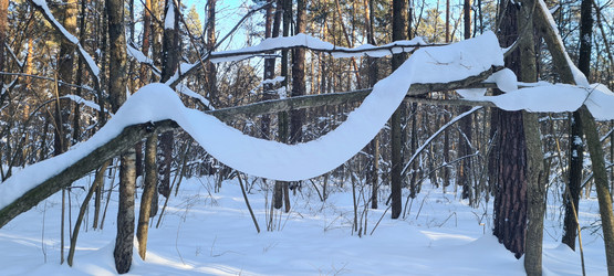 Similar image 21822455