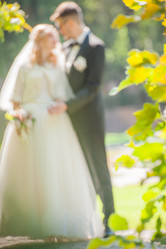 Similar image 21814854