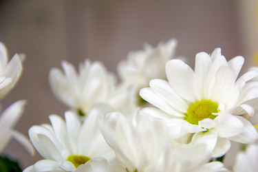 Similar image 21814857