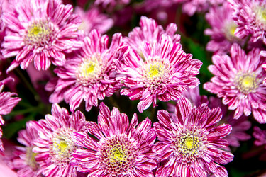 Similar image 21814858