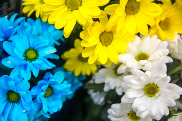 Similar image 21814859