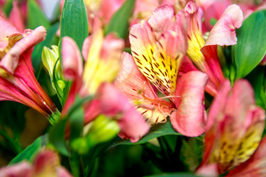 Similar image 21814861