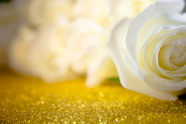 Similar image 21814869