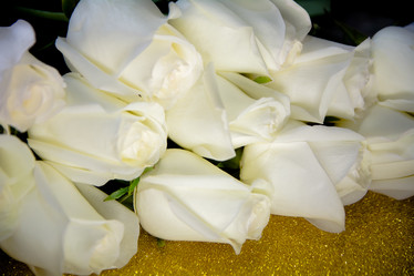 Similar image 21814870