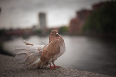 Similar image 21814873