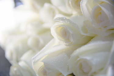 Similar image 21814874