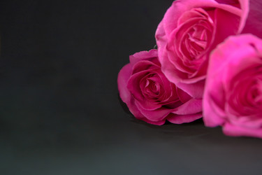 Similar image 21814876