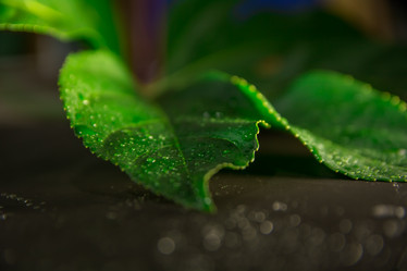 Similar image 21814879