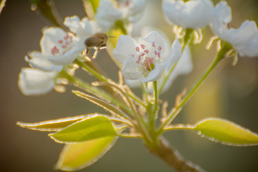 Similar image 21814880