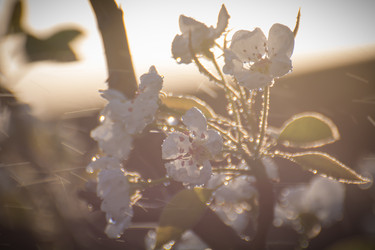 Similar image 21814882