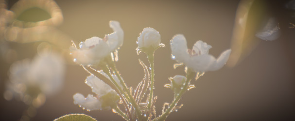 Similar image 21814883