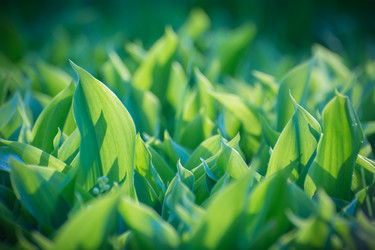 Similar image 21814884