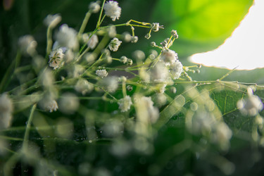 Similar image 21814886