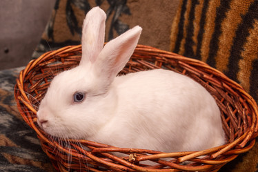 Similar image 21816586