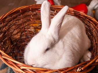 Similar image 21816587