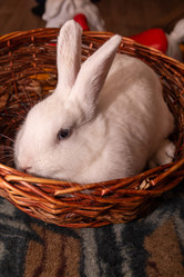 Similar image 21816588