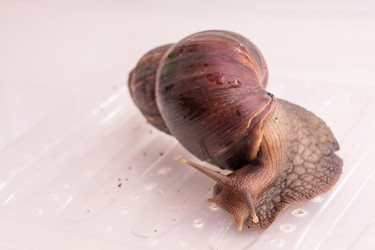 Similar image 21819763